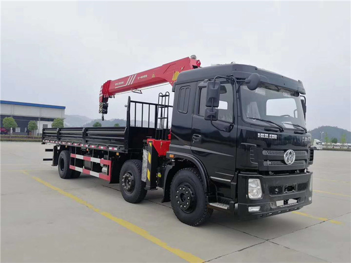 三環(huán)昊龍前四后四三一10噸隨車吊圖片